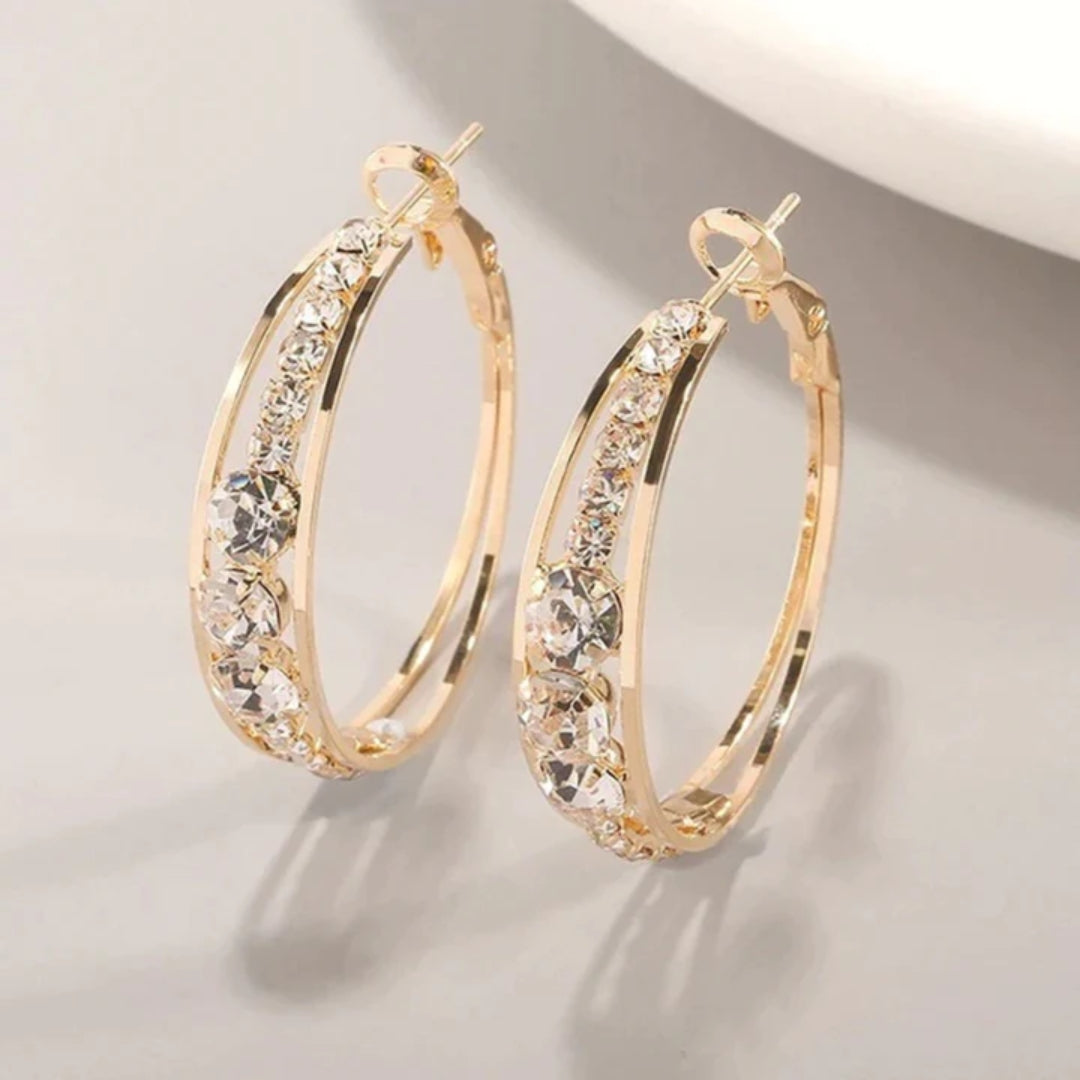 Chic Shiny Hoop Earrings