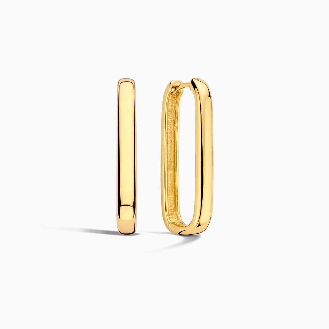 Gold Hoop Icon Earrings