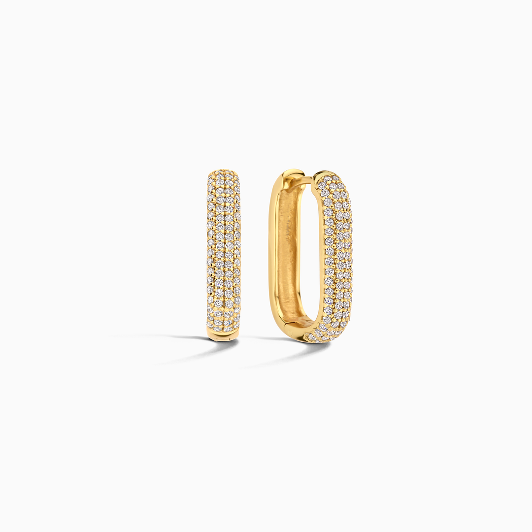 Diamond & Gold Earrings