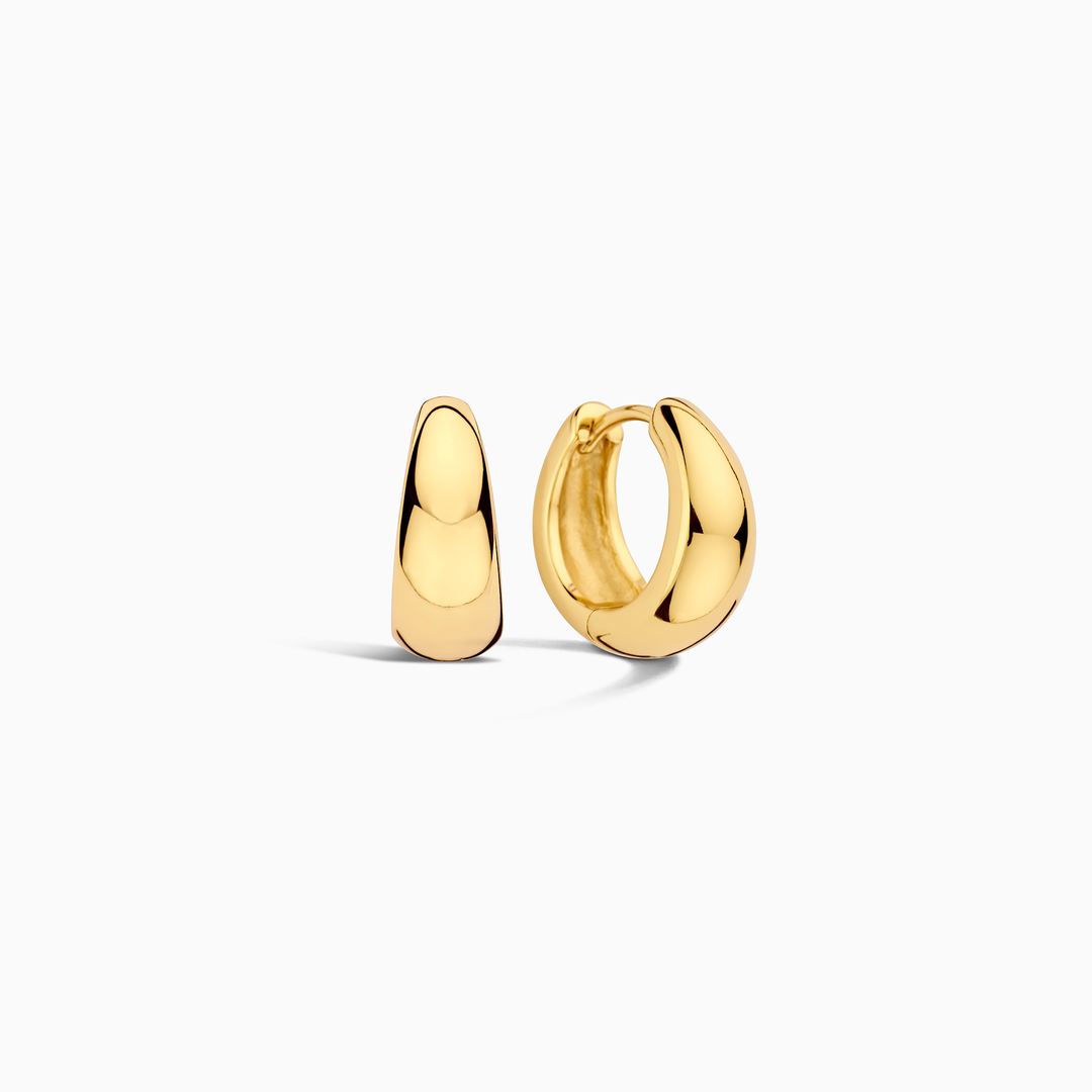 Gold Elegant Hoop Earrings