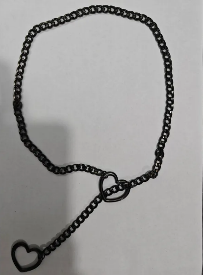 Lara Stainless Steel Heart Necklace