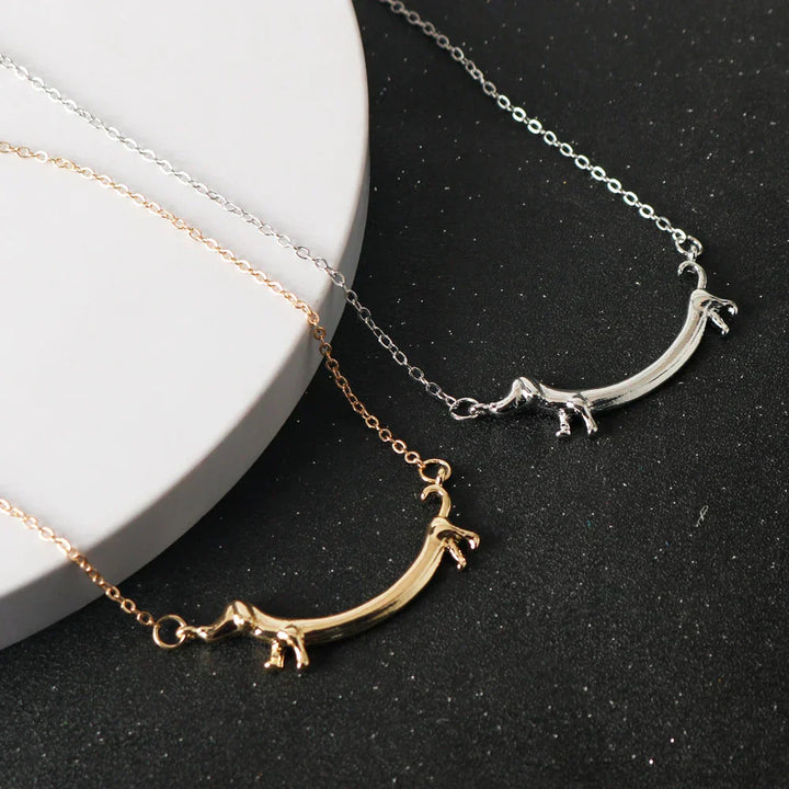 Gold Dachshund Dog Collar