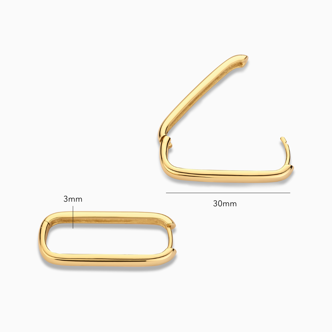 Gold Hoop Icon Earrings