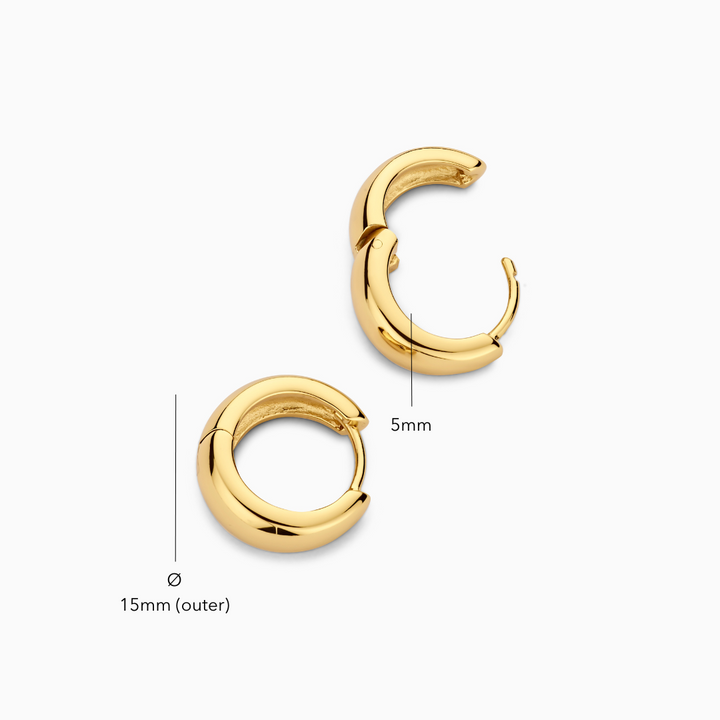 Gold Elegant Hoop Earrings
